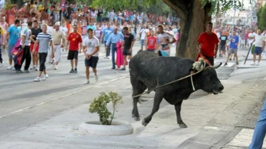 Suspendido por una petición animalista el toro enmaromado que la localidad de Yuncos quería hacer en Navidad
