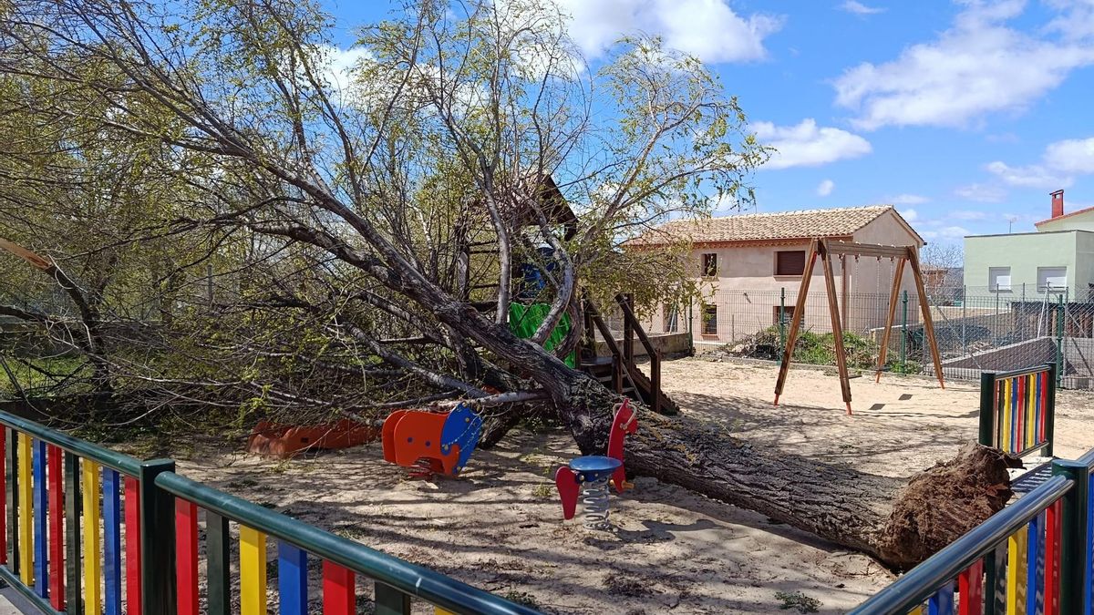 El viento derriba un olmo sobre un parque infantil en Castilforte sin causar heridos