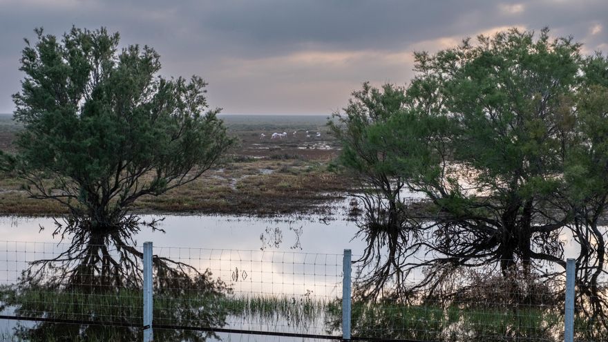 Extracciones en el acuífero han desviado el agua dirigida a Doñana, según un estudio