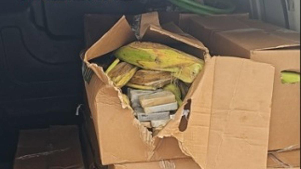 Importante golpe al narcotráfico en Canarias: cae una banda que distribuía hachís oculto en cajas de hortalizas