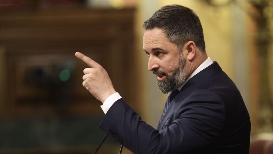 El líder de Vox, Santiago Abascal, interviene en una sesión plenaria, en el Congreso de los Diputados