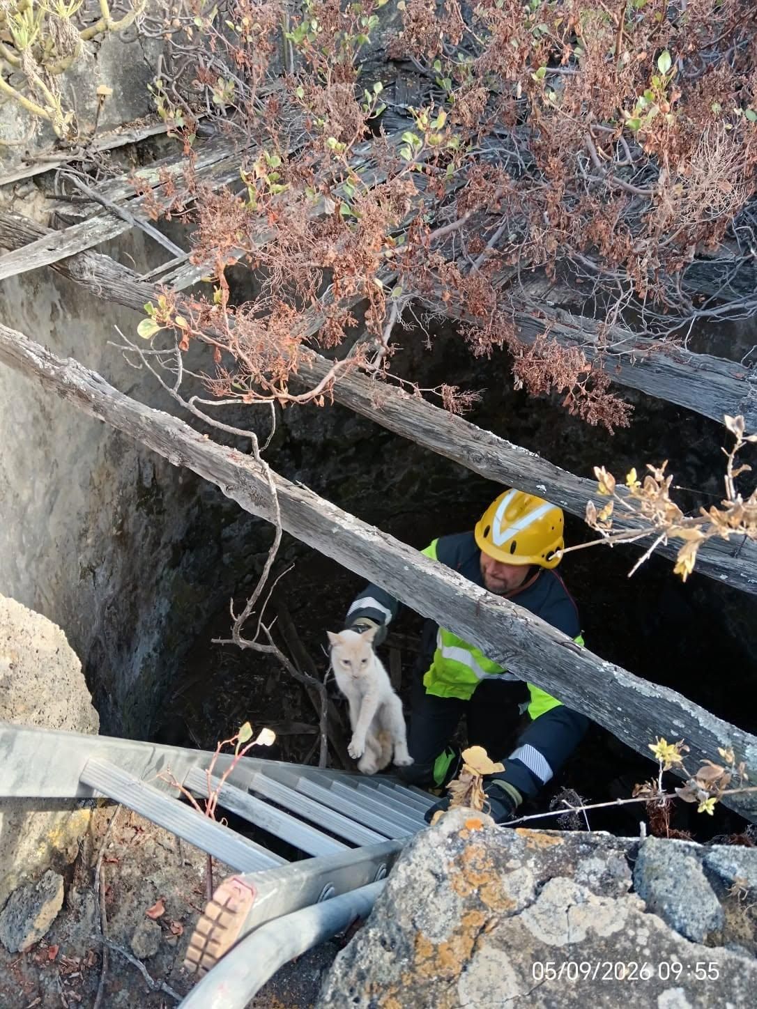 Un  bombero con el gasto rescatado en un pozo  de Breña Baja.