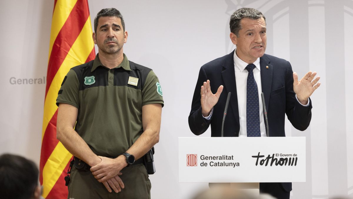 El Govern pide más efectivos para gestionar el brote de fiebre porcina: “Las primeras horas son críticas”