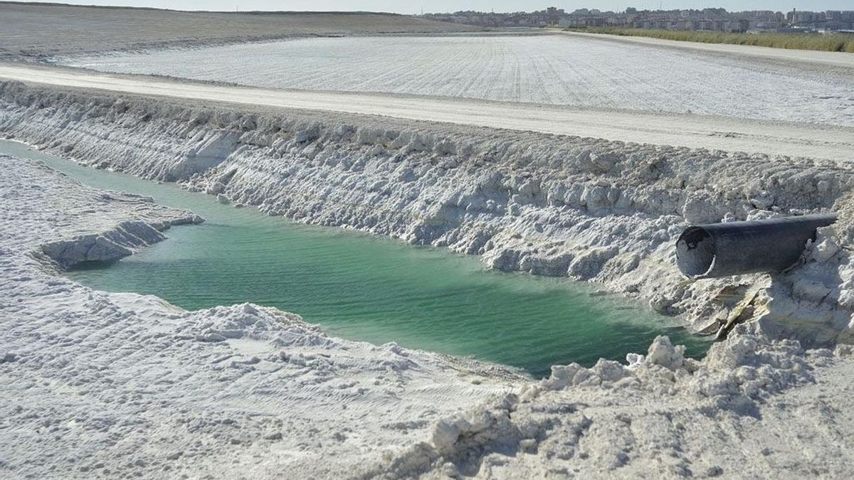 Audiencia Nacional exige a Fertiberia restauración inmediata de balsas de fofoyesos en la marisma