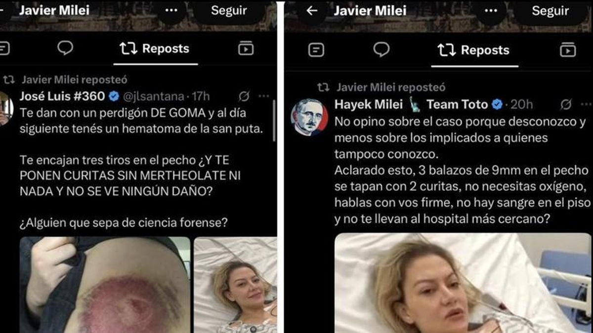 Milei repostea tuits sobre el caso de su exasesor Cerimedo, detenido en Bolivia por intento de femicidio