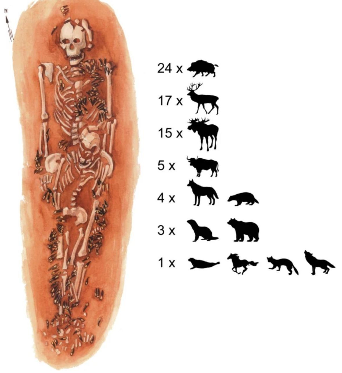Los adornos hechos con dientes, cosidos a prendas o suspendidos con cordeles