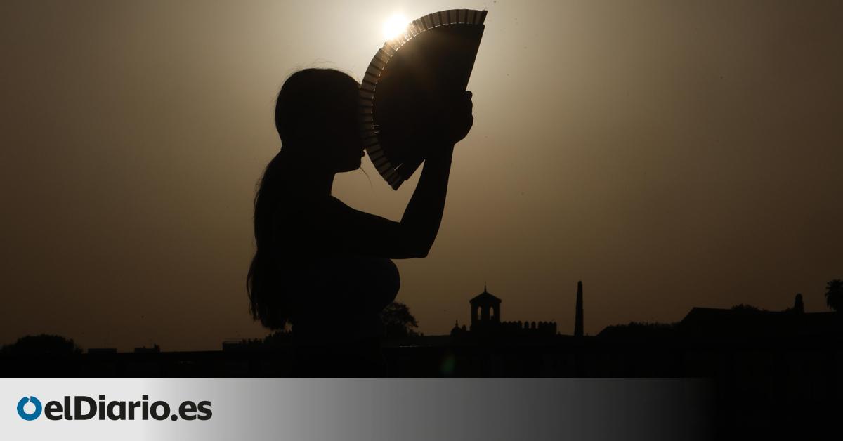 EL TIEMPO
El episodio de calor obliga a la Aemet a activar avisos en cuatro comunidades