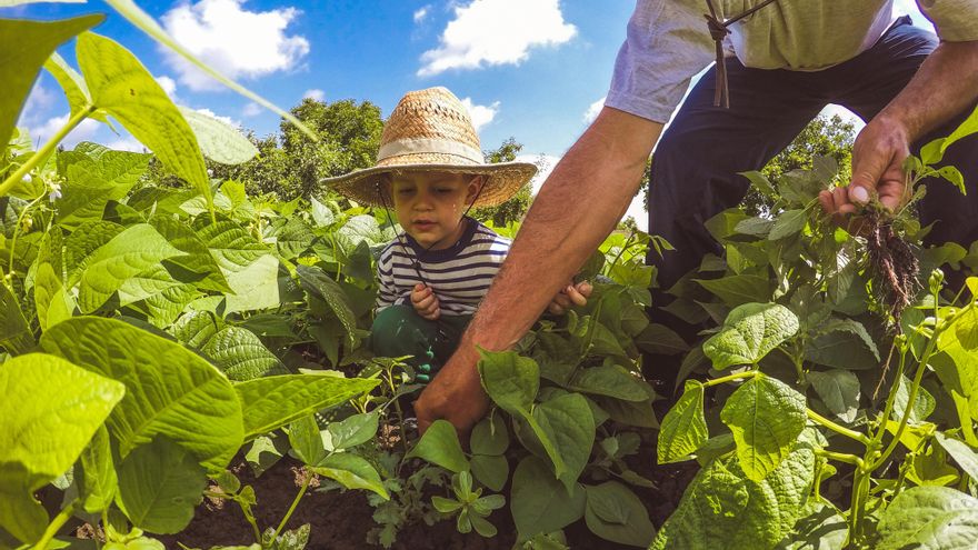 Agricultura familiar: “Quieren destruir a los pequeños chacareros en favor de las grandes agroexportadoras"
