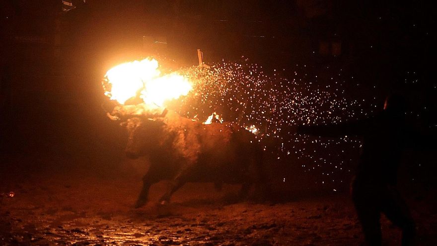 La Junta prosigue con el trámite para declarar BIC el Toro de Jubilo de Medinaceli y argumenta que el barro protege al animal del fuego