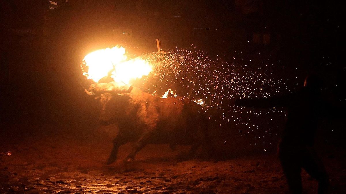 La Junta prosigue con el trámite para declarar BIC el Toro de Jubilo de Medinaceli y argumenta que el barro protege al animal del fuego