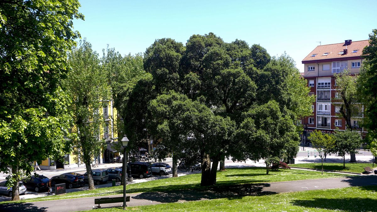 El parque de El Campillín cuenta con una frondosa arboleda.