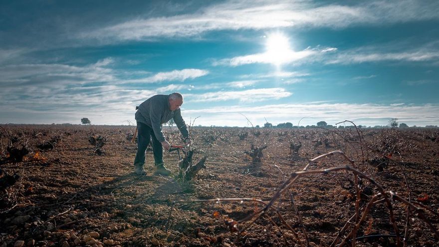 UPA alerta de una "tormenta perfecta" para el vino por la caída del consumo y las exportaciones y la debilidad de los precios
