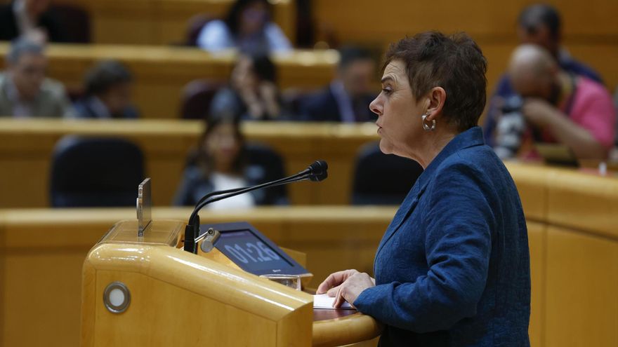 La reforma del artículo 49 de la Constitución afronta su último debate en el Congreso