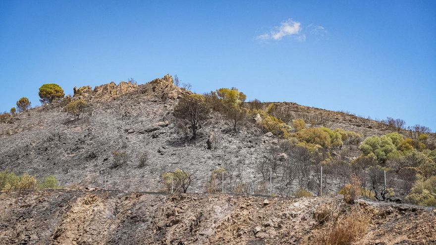 El incendio de Cerro Muriano quemó 200 hectáreas