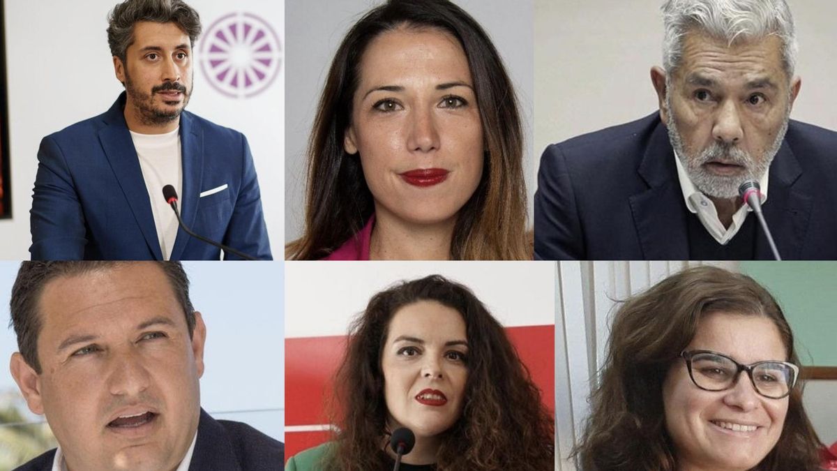 El PSOE presenta a sus candidatos para los ayuntamientos de Tenerife, con pocas novedades