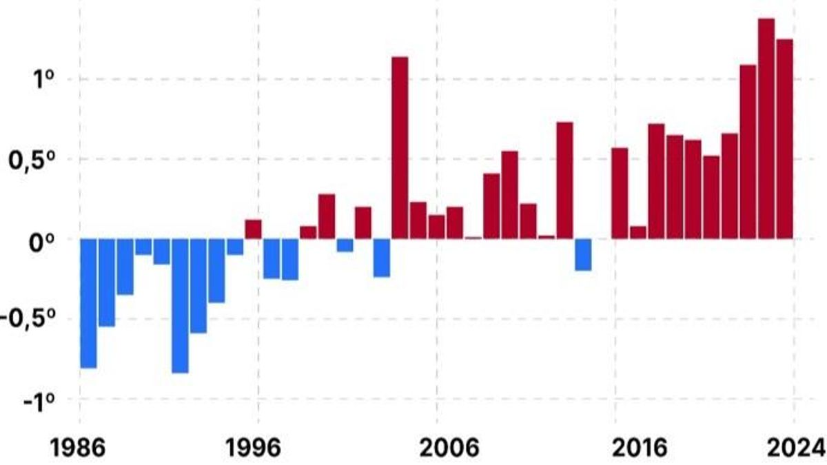 Diferencia entre la temperatura media del Mediterráneo entre los meses de junio y agosto para cada año desde 1986 a 2024 y la temperatura media del periodo 1986-2015 (Fuente: Servicio Marítimo de Copernicus. Meteoclimática).