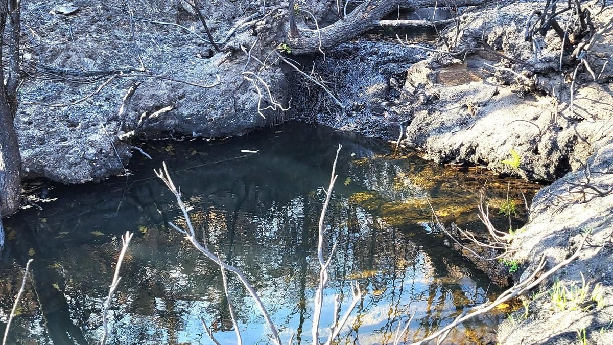Los incendios de verano contaminan el agua de Puente de Domingo Flórez y el Ayuntamiento prohíbe su consumo