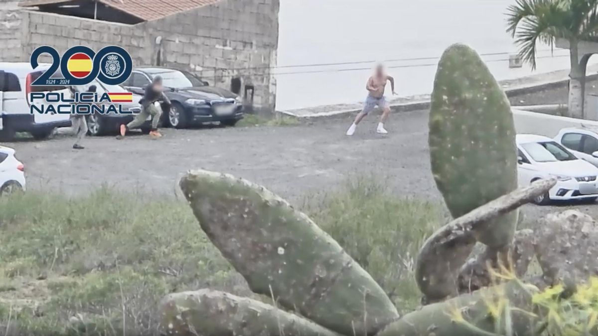 Detenido en Tenerife un peligroso fugitivo buscado por Polonia por más de 40 delitos