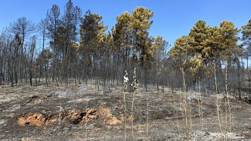 Estabilizado el incendio de Gata mientras los medios continúan trabajando y los vecinos de Torre de Don Miguel evacuados