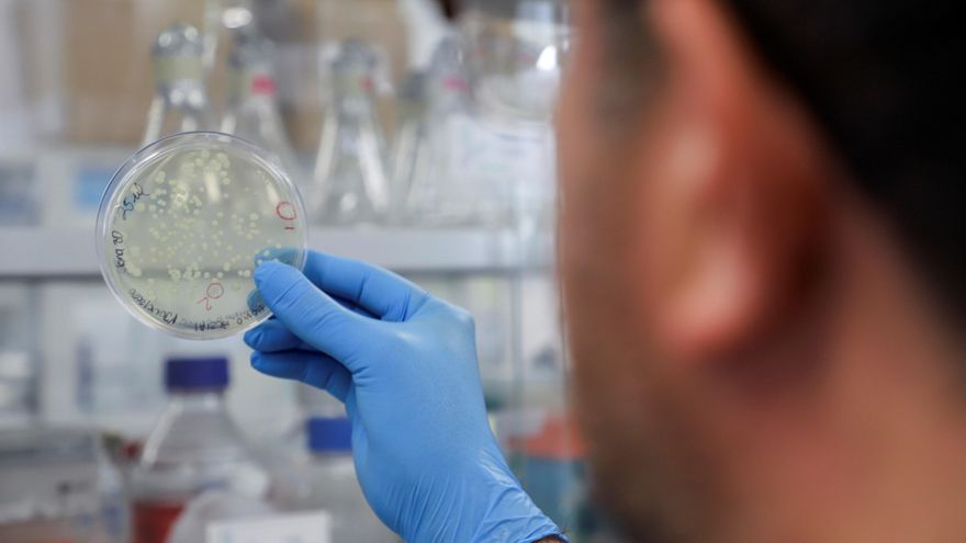 Preguntas y respuestas sobre el Paxlovid, el antiviral de Pfizer que va a comprar España