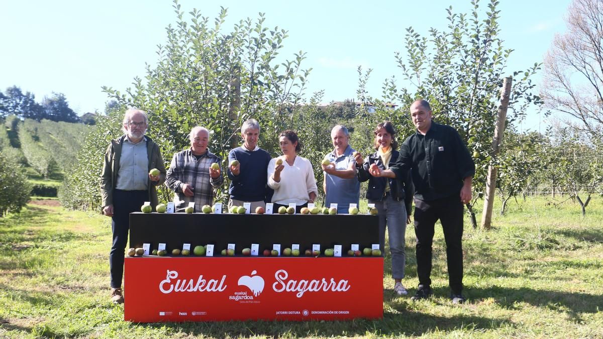 Euskadi afronta una nueva cosecha de manzana en la que prevé recolectar hasta 7 millones de kilos en 250 manzanales