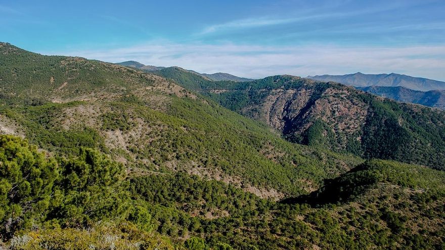Sierra Bermeja arde poco después de que se pidiese su inclusión en el Parque Nacional de la Sierra de las Nieves