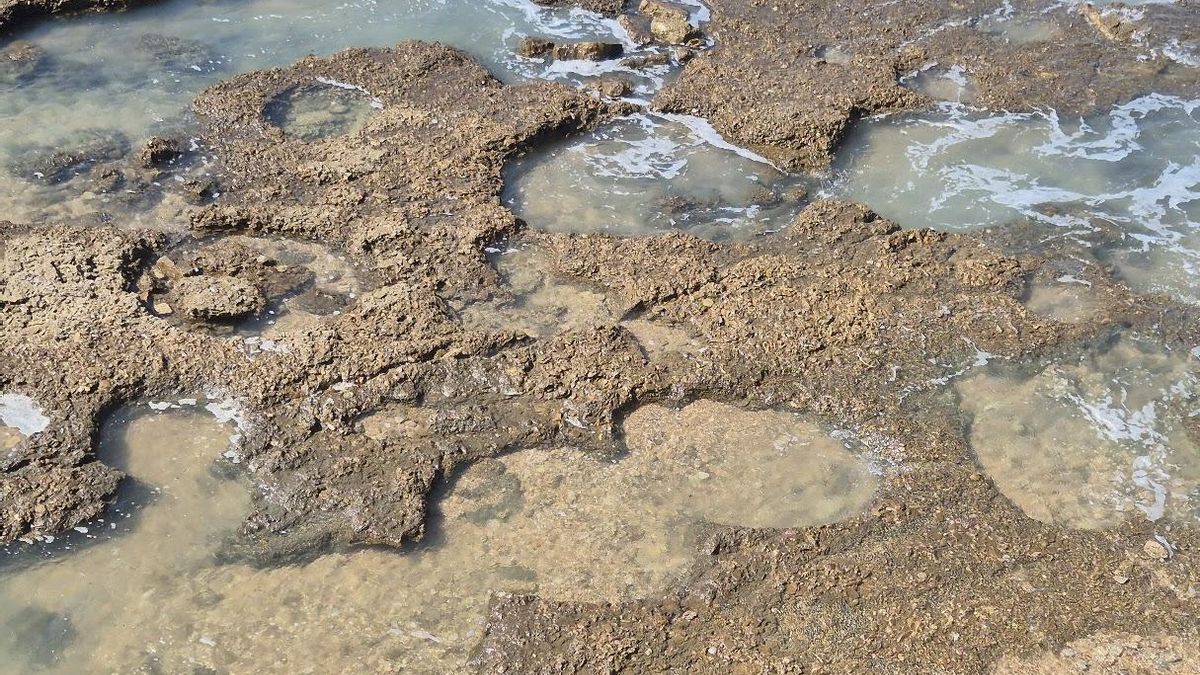Marmitas de Gigantes de Sancti Petri