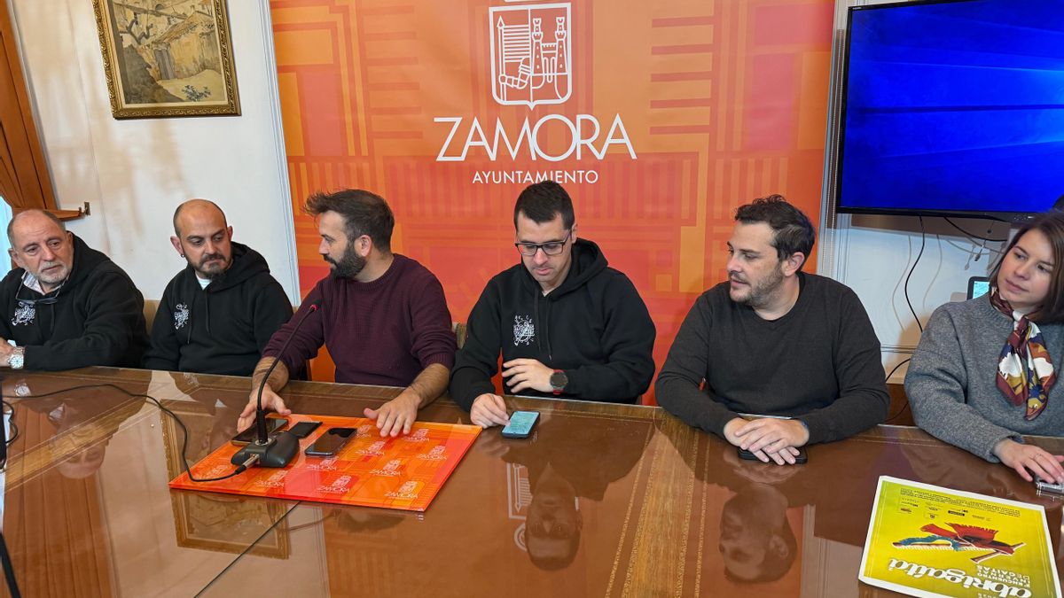 Unos 200.000 puntos LED en 12 kilómetros lineales iluminarán la Navidad en Zamora