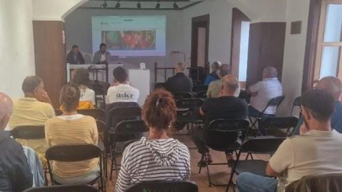 Fuencaliente y Gobierno de Canarias refuerzan la colaboración para el control de la filoxera