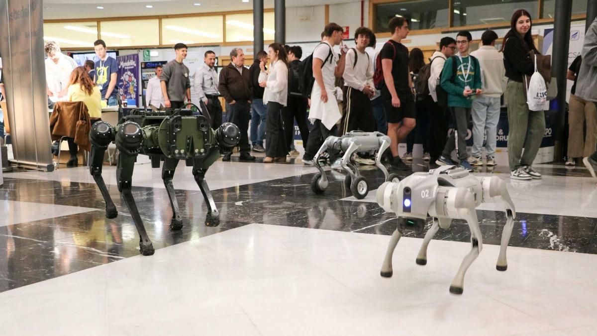 Medio centenar de empresas se ofertan ante 300 estudiantes para retener talento en León