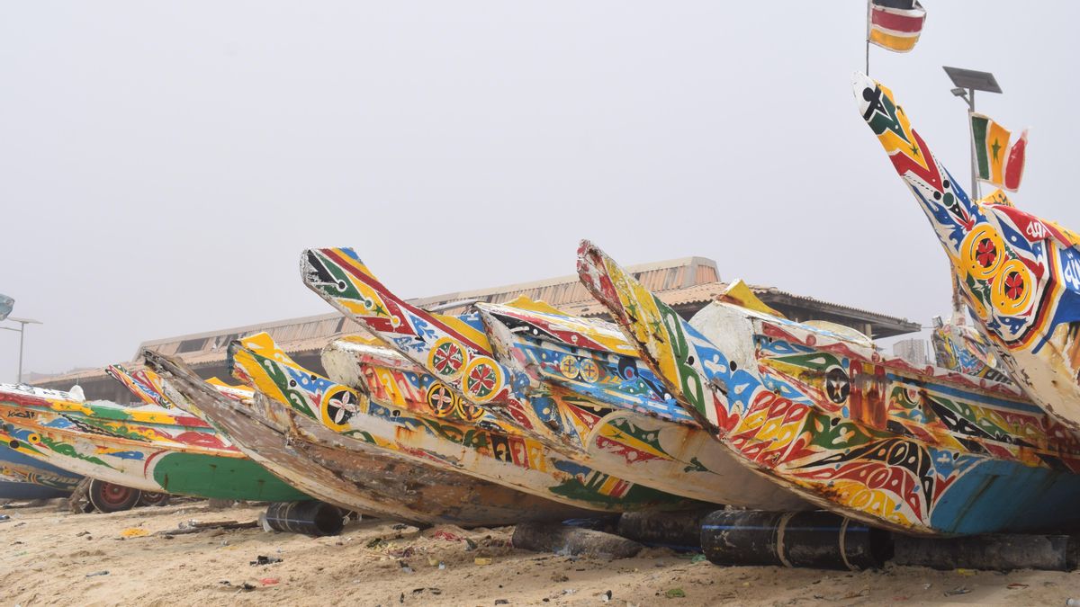 Cayucos en una playa de Senegal.