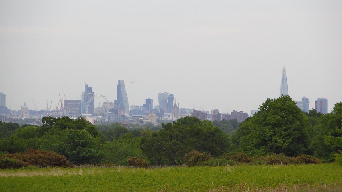 El Skyline de Londres desde el antiguo coto de caza de Richmond.
