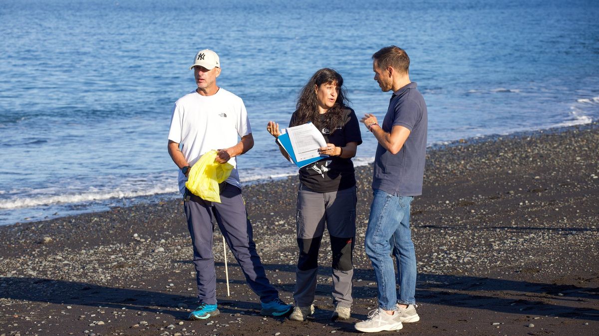 El proyecto europeo Circularocean  desarrolla  un muestreo de basuras marinas en la playa de Tazacorte para “favorecer  la conservación” de la costa