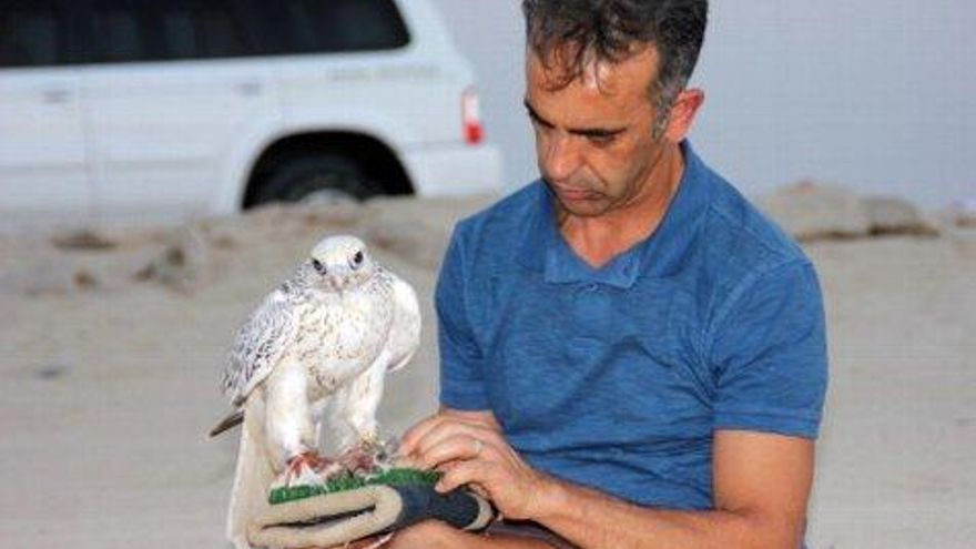 ICAL Pérez Guerra, natural de La Virgen del Camino, cría desde hace más de un año la colección privada de halcones del rey Sheikh Sultan Bin Zayed Al Nahyan