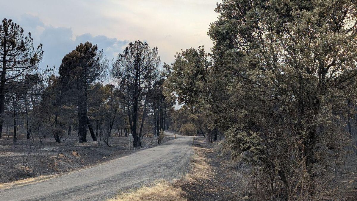 Incendios el pasado verano en la provincia de León.