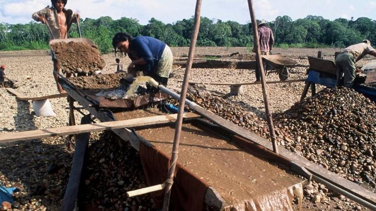 Draga para extraer oro y otros minerales de los ríos en Bolivia. Foto: cortesía André Bärtschi/WWF Regional