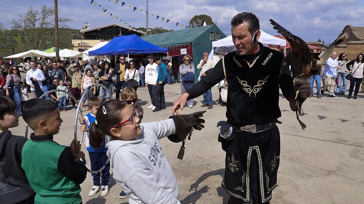XV Zoco de la Encantá en Almodovar del Río