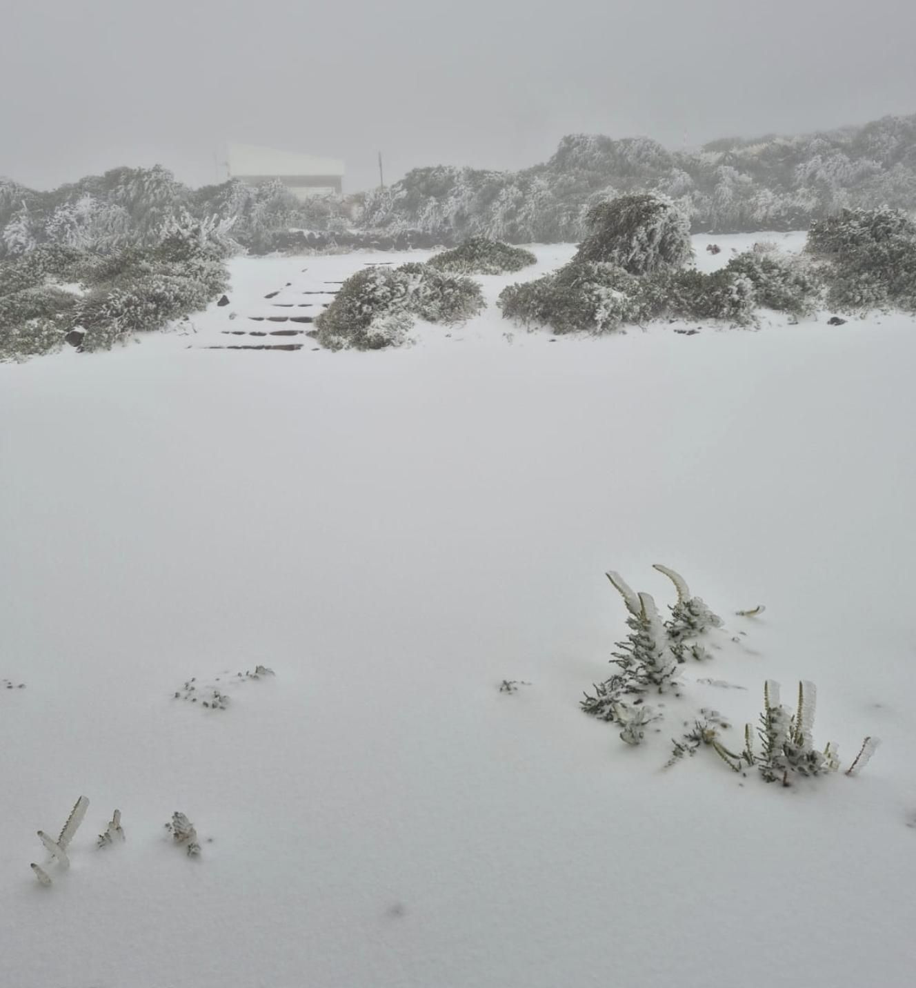 Un manto de nieve cubre este jueves en el entorno del Observatorio del Roque de Los Muchachos, en las  cumbres de la Villa de Garafía.