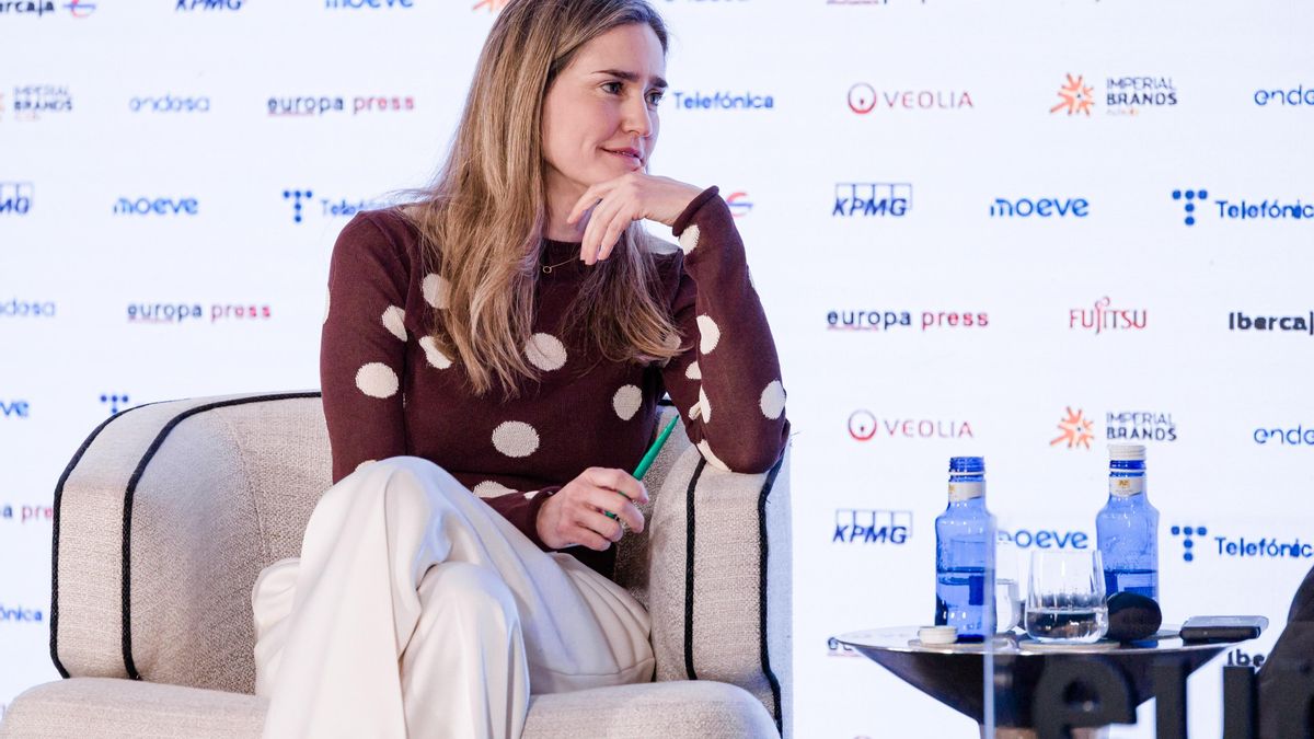 Aagesen anuncia la suspensión los proyectos de Forestalia bajo investigación judicial y pide una auditoría en el Miteco