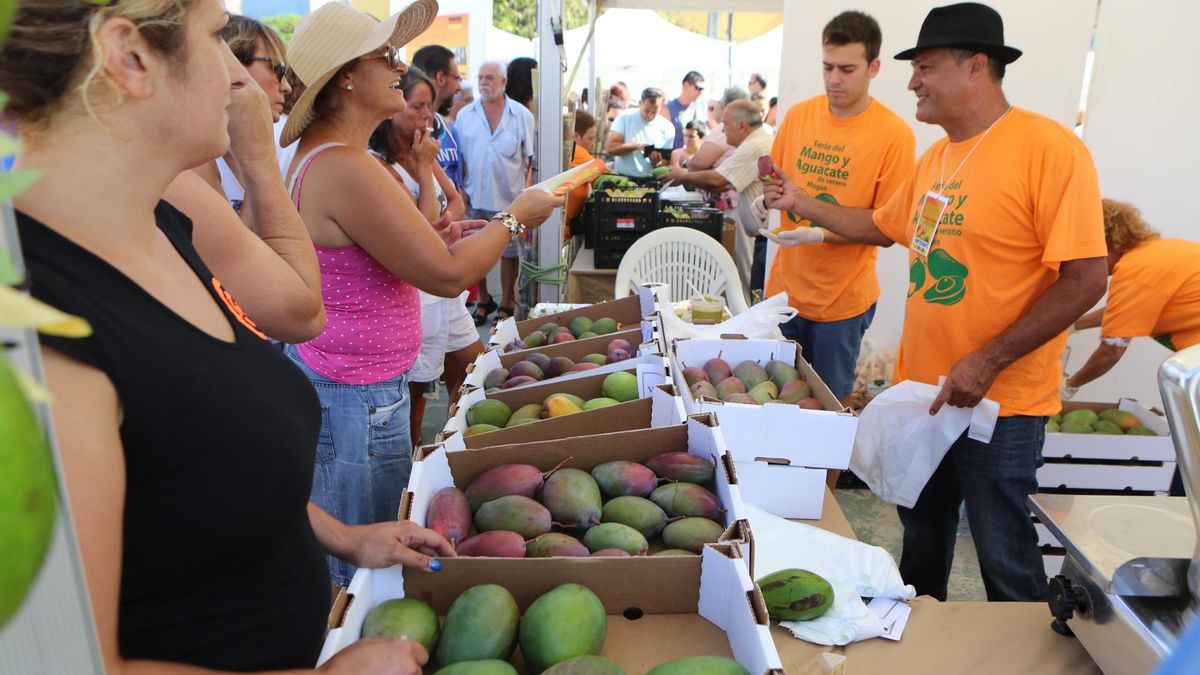 Feria del Mango y del Aguacate de Mogán
