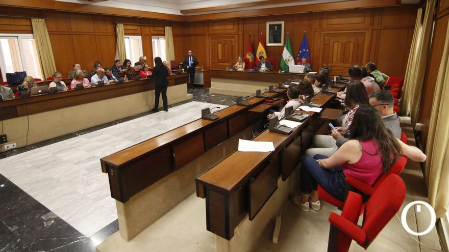 El Pleno pide por unanimidad que el Gobierno prevea la construcción de la Variante Sur en la A-4