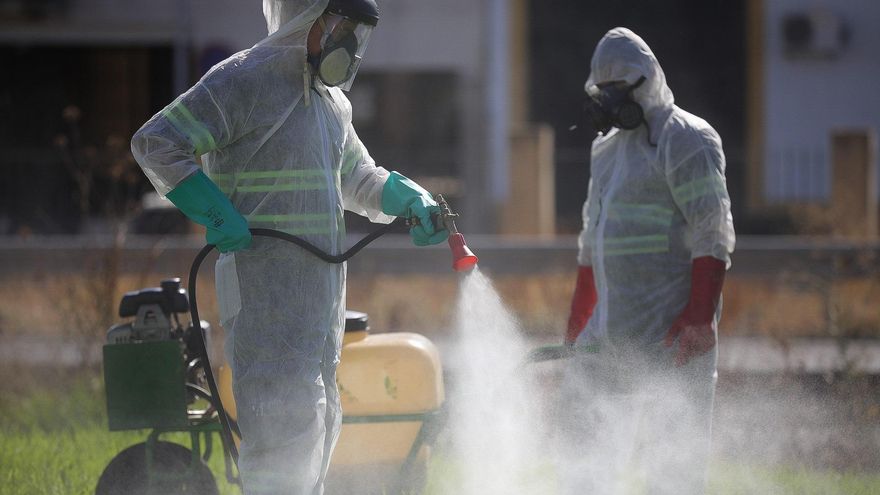 Labores de fumigación en Coria