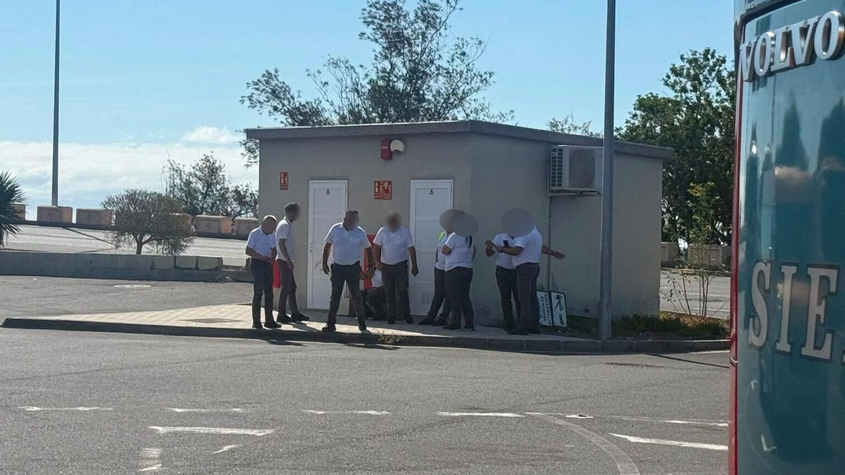 Sindicatos denuncian ante Trabajo las condiciones "indignas" de los conductores de guaguas en Tenerife Sur