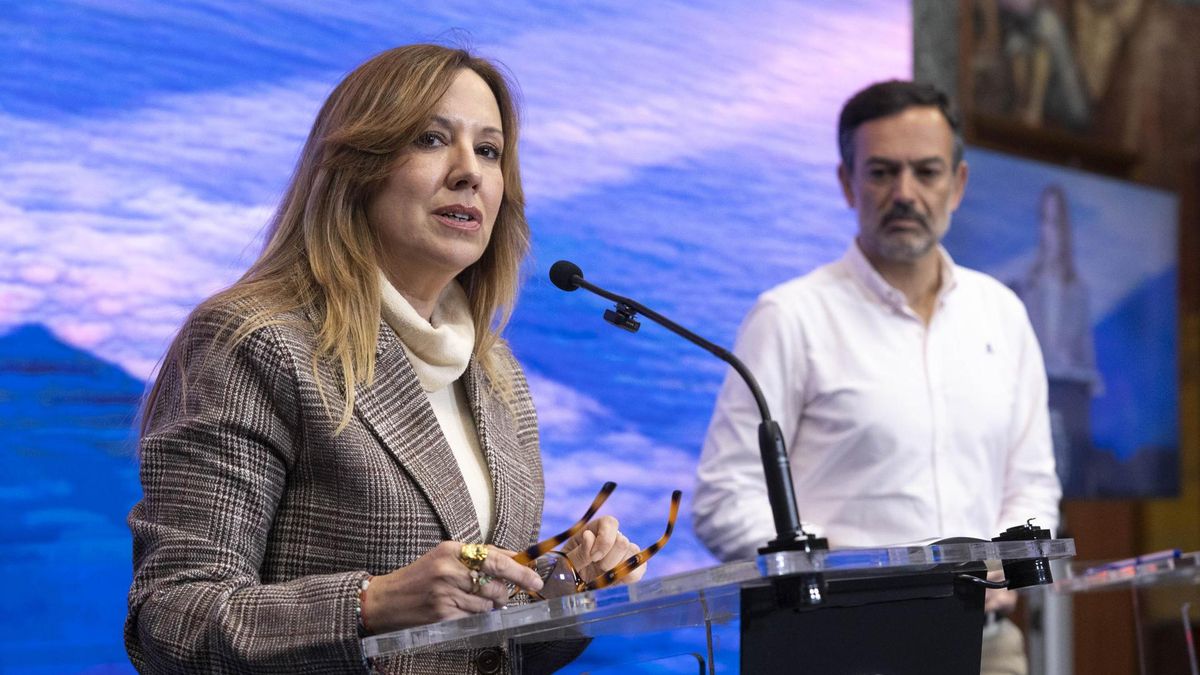 Rosa Dávila, enfadada porque Gran Canaria ya tiene protocolo sobre grúas en autopistas y Tenerife no