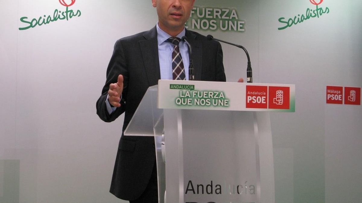 PSOE de Marbella pide a la alcaldesa que haga público su patrimonio y las operaciones de las sociedades participadas