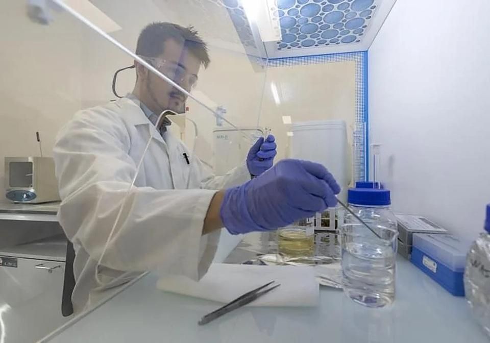El doctor Elías Sánchez Cañadillas, en el laboratorio de arqueología de la Universidad de Las Palmas.