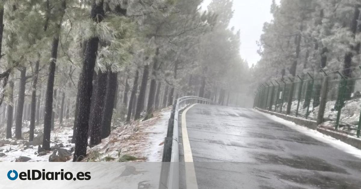 Storm Regina Blankets Gran Canaria Summit in Snow