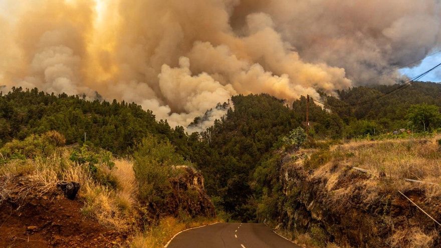 Enormes columnas de humo sobre el monte que arde este sábado en La Palma