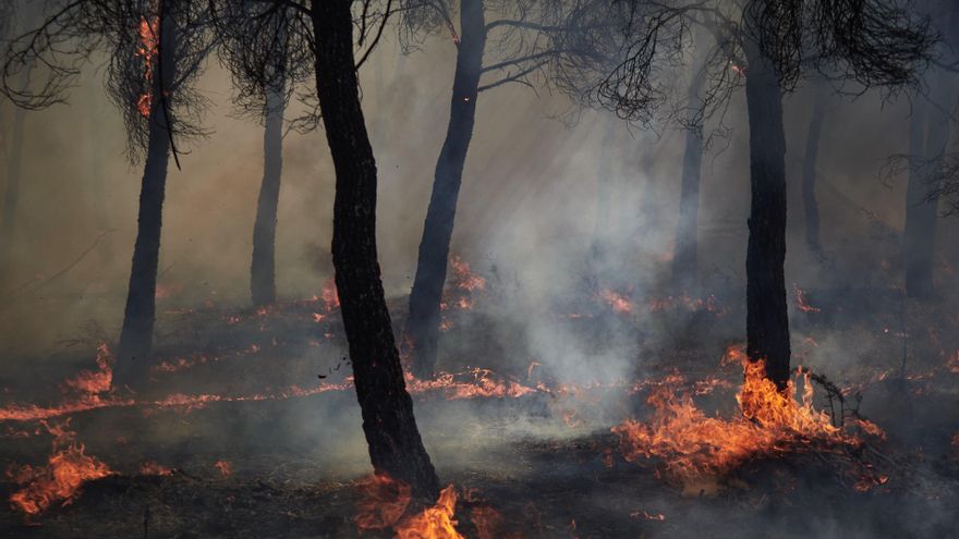 Bomberos continúan los trabajos de extinción para sofocar el incendio, a 10 de agosto de 2025, en Carcastillo, Navarra (España).