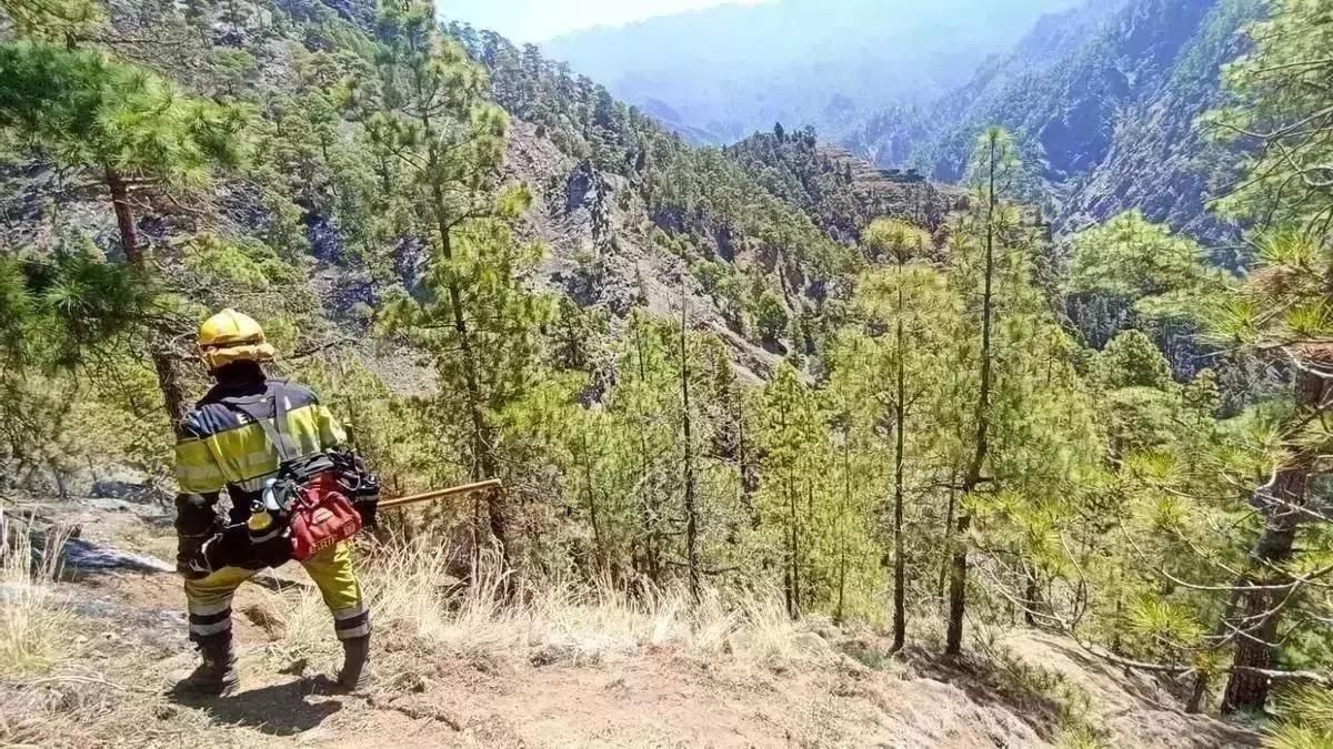 Alerta por  riesgo de incendios forestales en La Palma